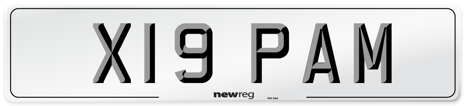 X19 PAM Number Plate from New Reg